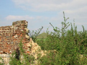 goumont011